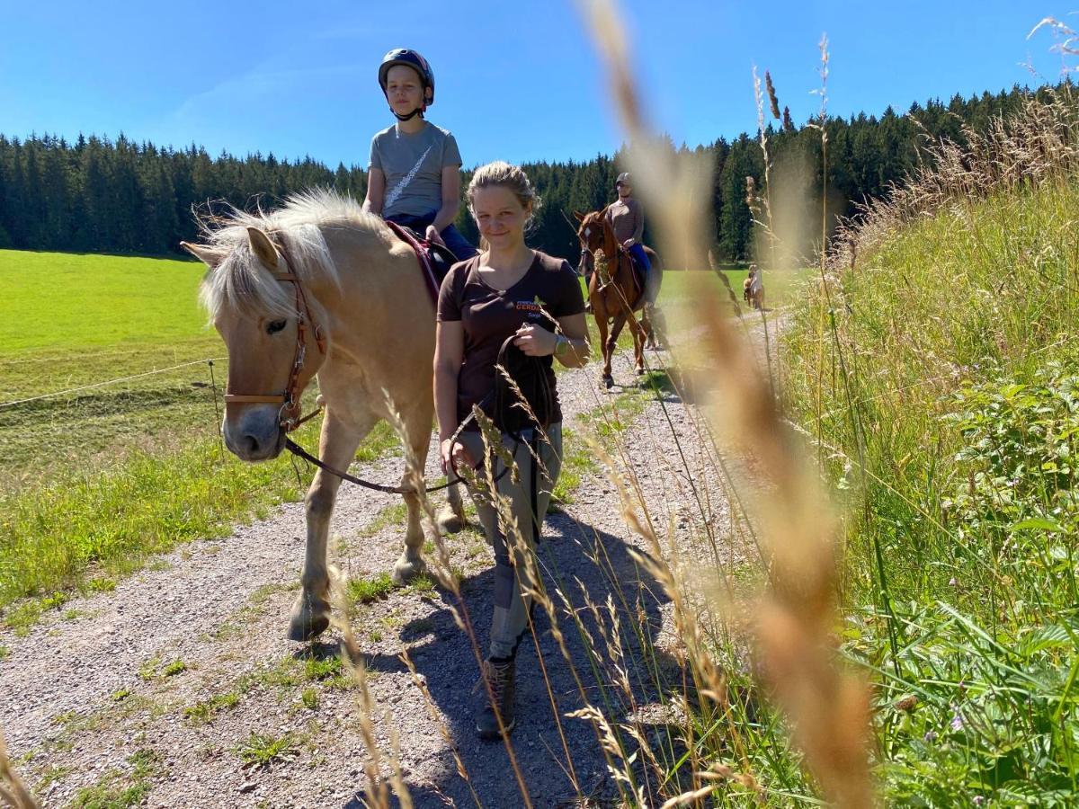 Ferienhof Gerda Sankt Georgen im Schwarzwald Dış mekan fotoğraf