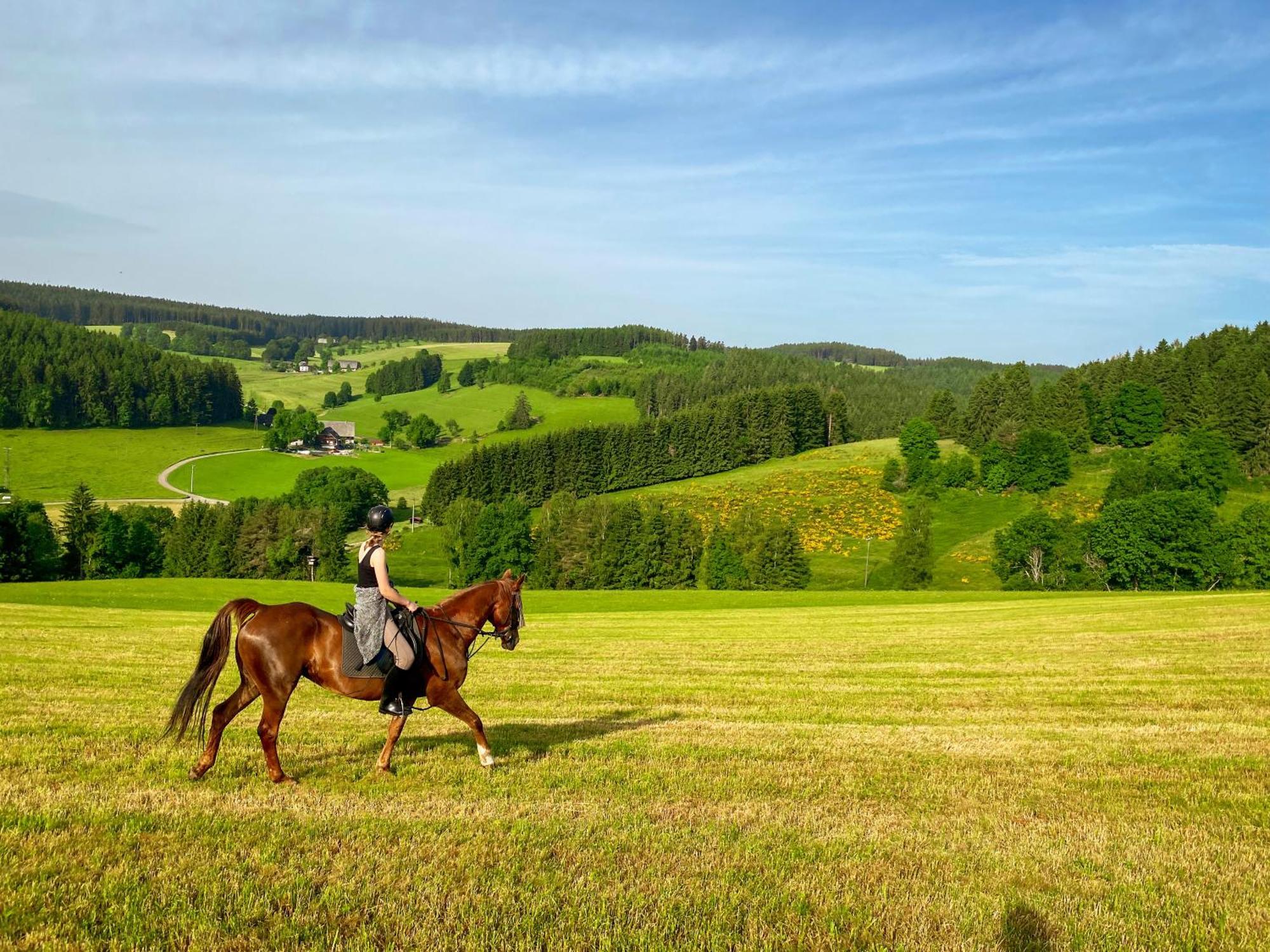 Ferienhof Gerda Sankt Georgen im Schwarzwald Dış mekan fotoğraf
